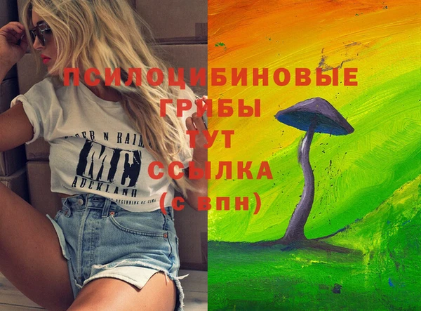 кокс Белокуриха